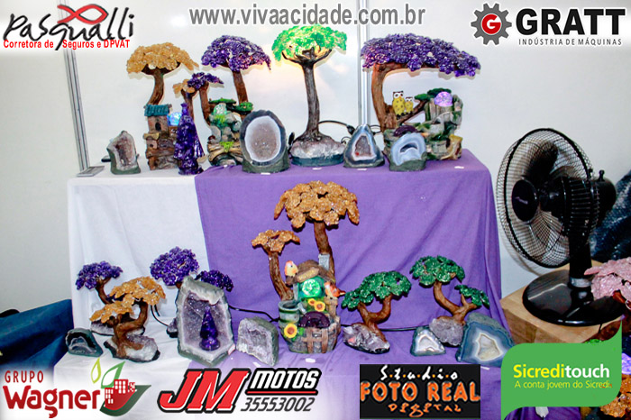 IMG_7121