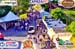 DJI_0215